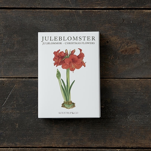 CHRISTMAS FLOWERS - 8 cards