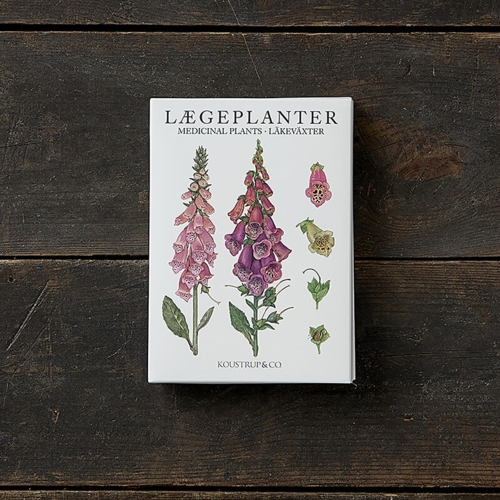 MEDICINAL PLANTS - 8 cards