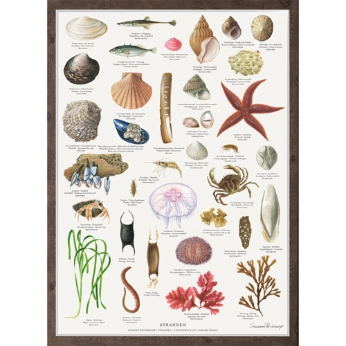 THE BEACH - Poster A2