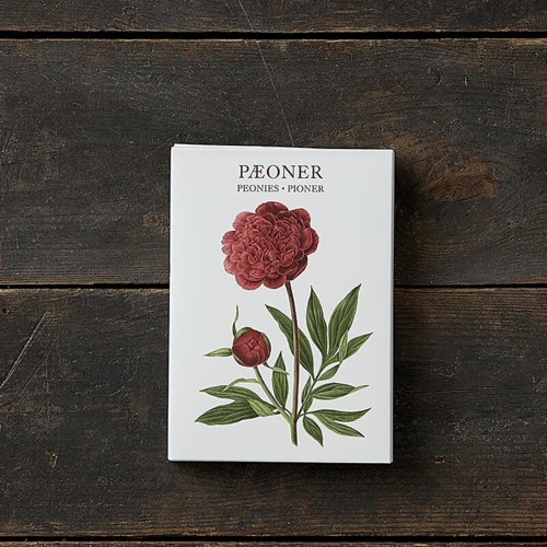 Peonies – 8 cards