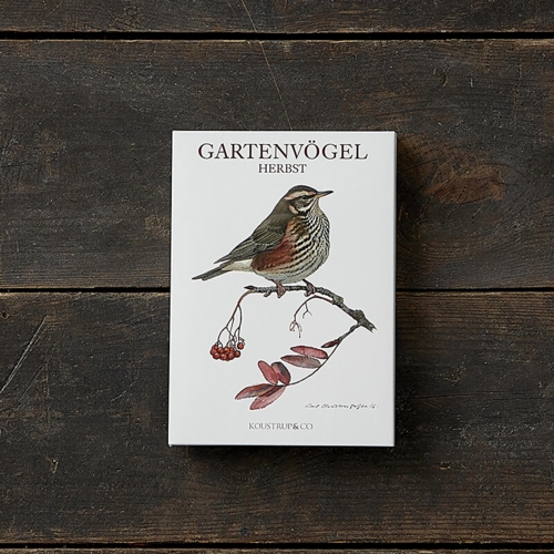 GARTENVÖGEL HERBST - 8 cards (German)
