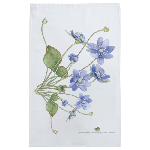 ORGANIC DISH TOWEL - Blue Anemone