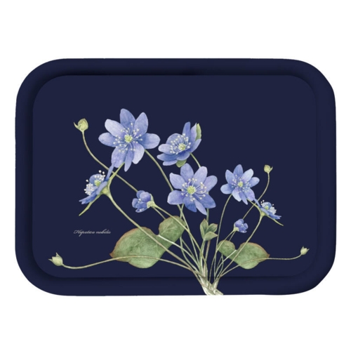Tray 20x27 - Blue Anemone (New design)