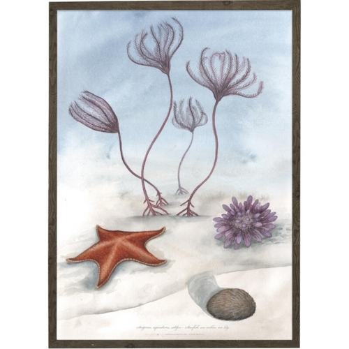 Sea Lily - ART PRINT - CHOOSE SIZE