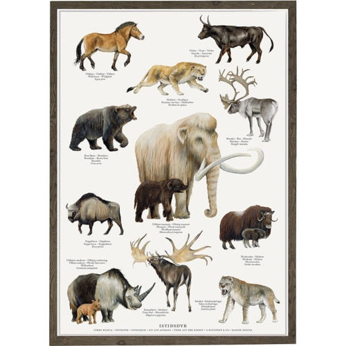 Ice Age Animals - A2 Poster