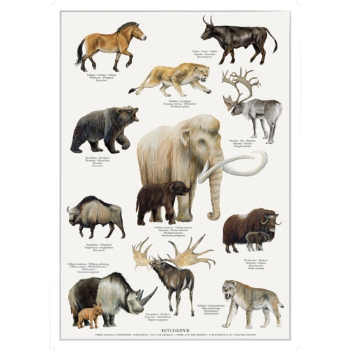 A4 Print - Ice Age Animals