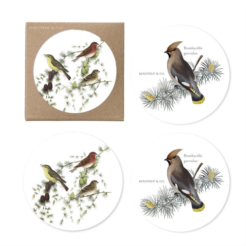 Coasters - Birds in Conifer - 4-pack