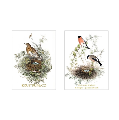 Summer Mini Cards – Song Thrush and Bullfinch