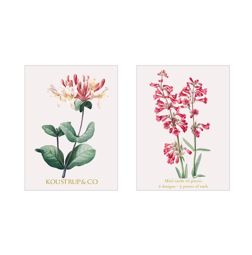 SUMMER MINI CARDS – Kaprifolium