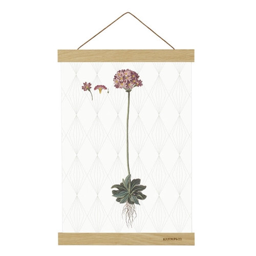 MAGNET RAIL A3 - Oak