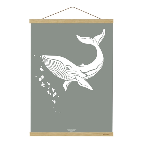 MAGNET RAIL B2 - Oak