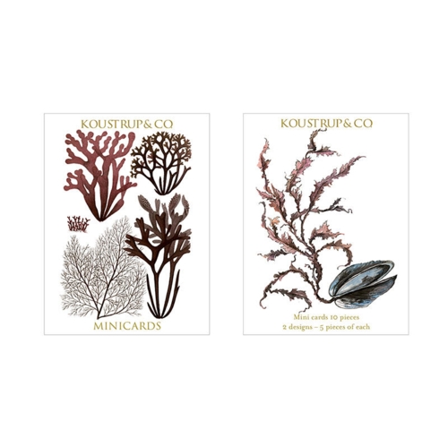 Blue mussel mini card