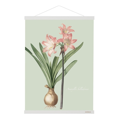 MAGNETIC RAIL B2 - White