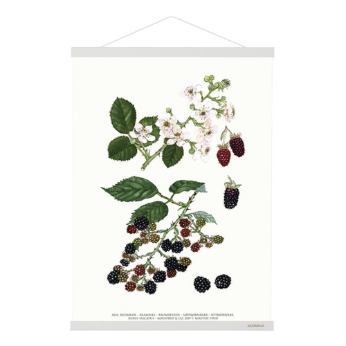 MAGNET RAIL B1 - White