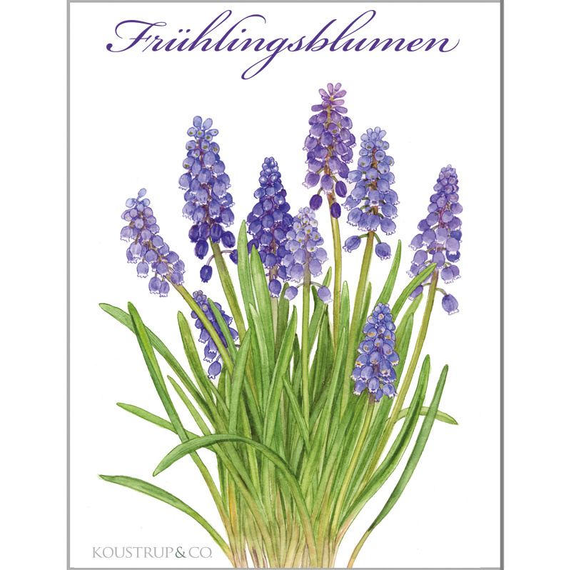 SPRING FLOWERS - 8 Cards (German)