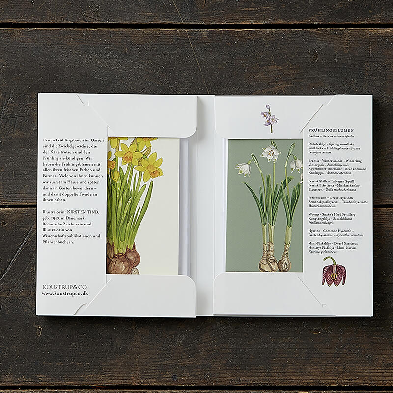 SPRING FLOWERS - 8 Cards (German)