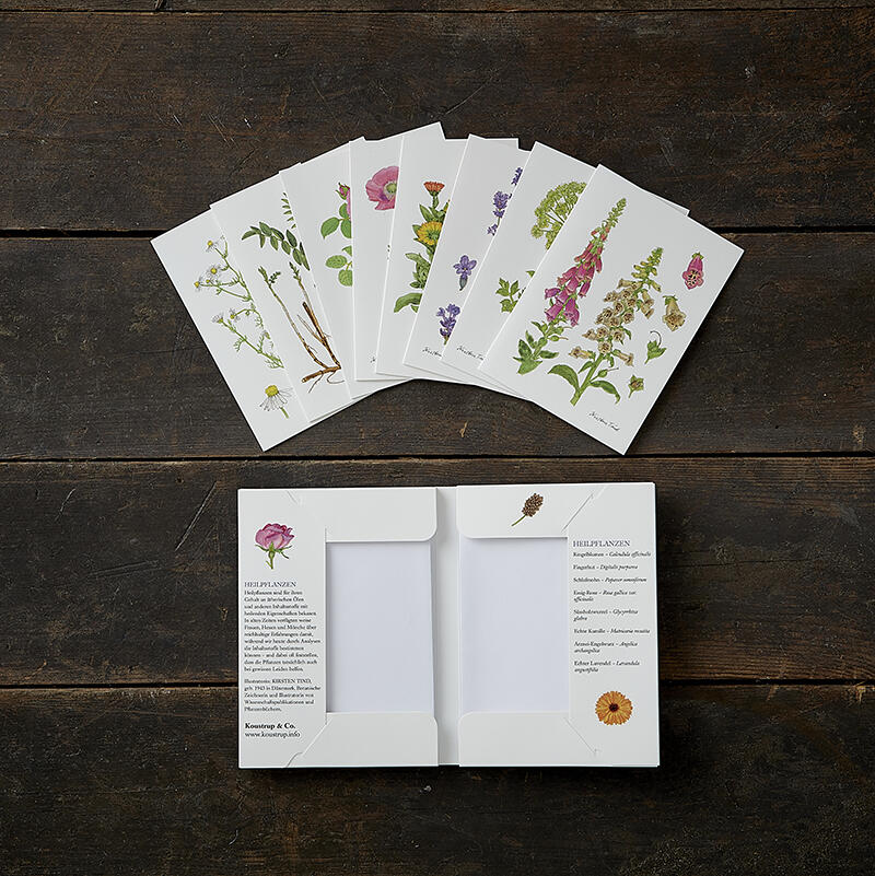 HEILPFLANZEN - 8 cards (German)