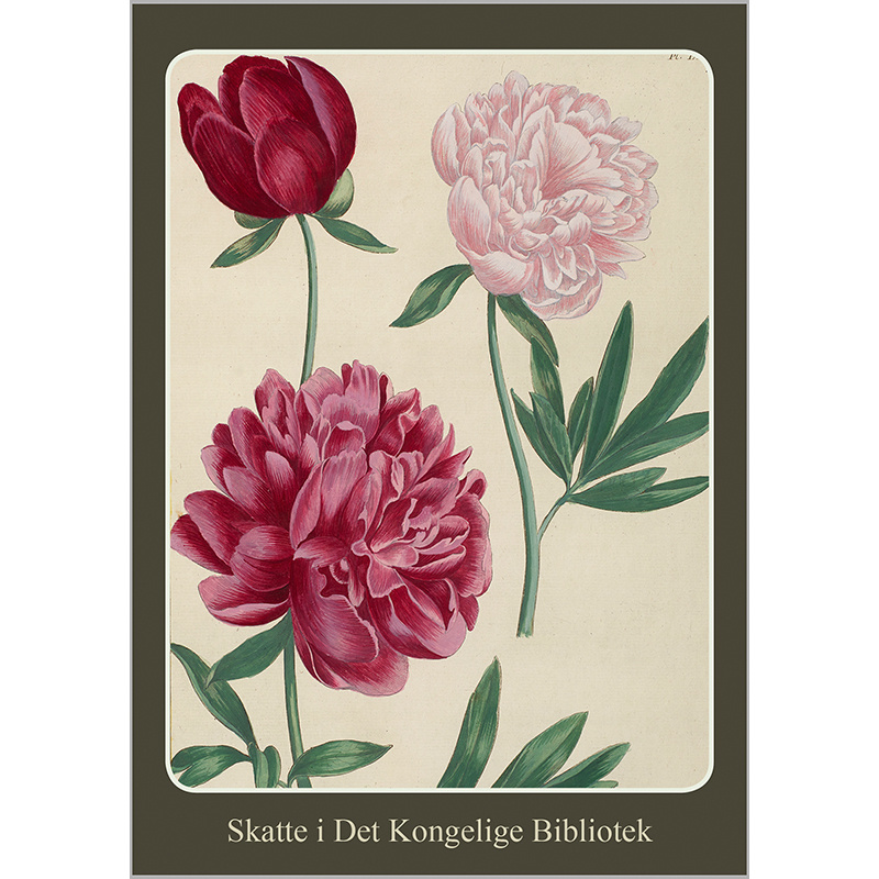Delightful Spring - 8 cards