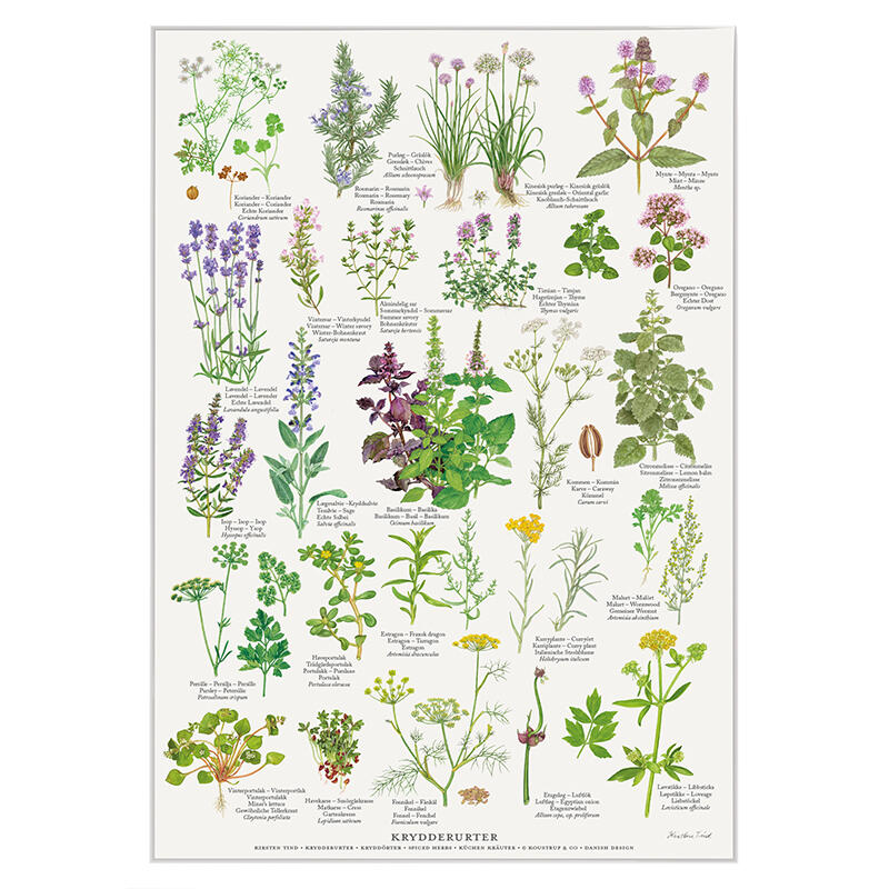 HERBS - Poster A2
