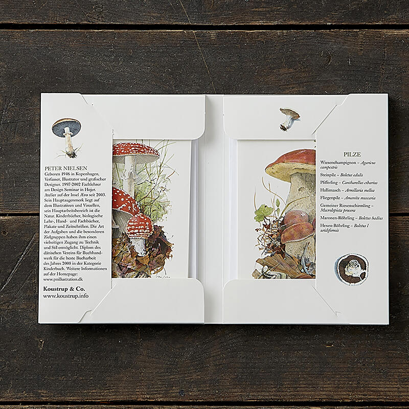 PILZE - 8 cards (German)