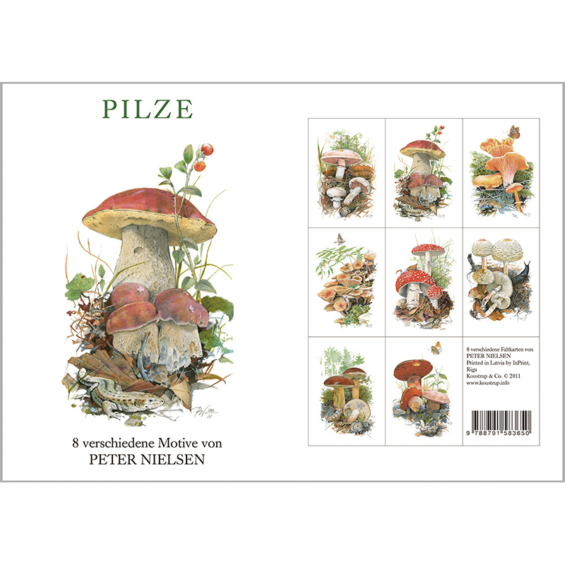 PILZE - 8 cards (German)