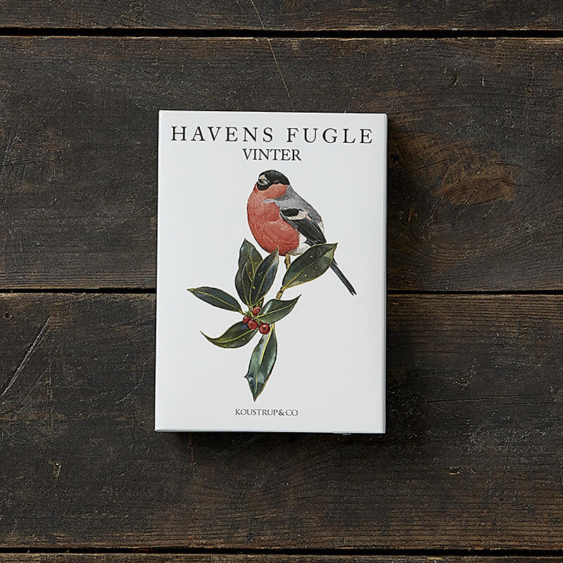 GARDEN BIRDS WINTER - 8 cards