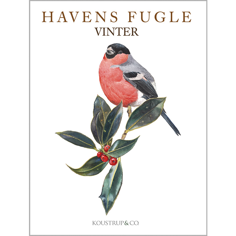 GARDEN BIRDS WINTER - 8 cards