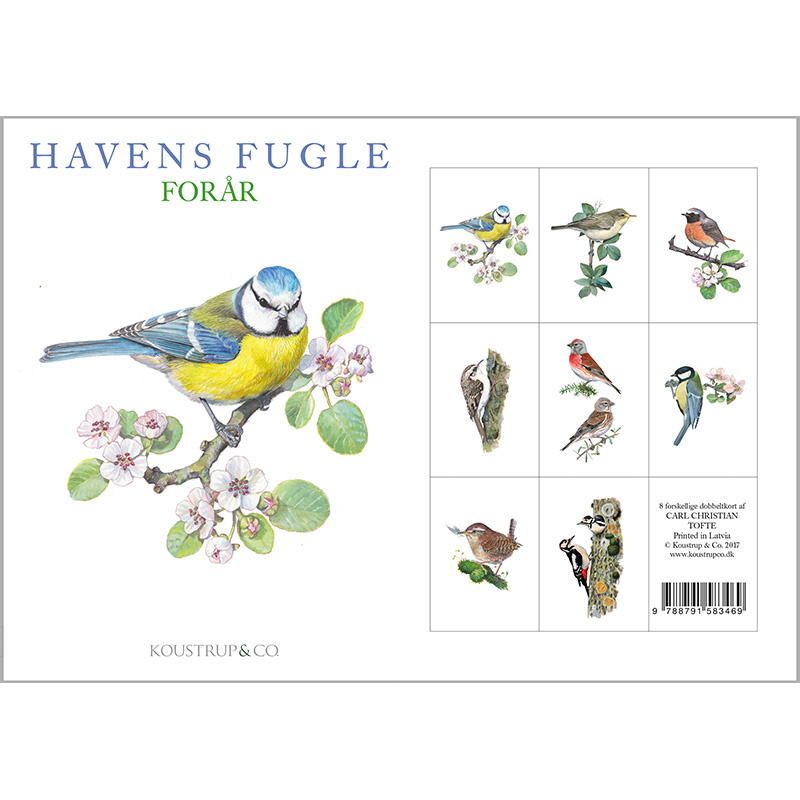 GARDEN BIRDS SPRING - 8 cards