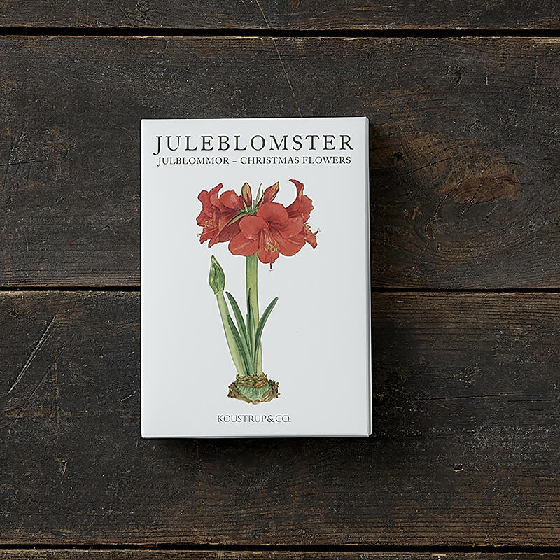 CHRISTMAS FLOWERS - 8 cards