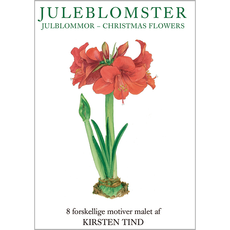 CHRISTMAS FLOWERS - 8 cards