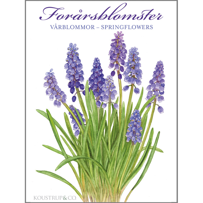 SPRING FLOWERS - 8 CARDS