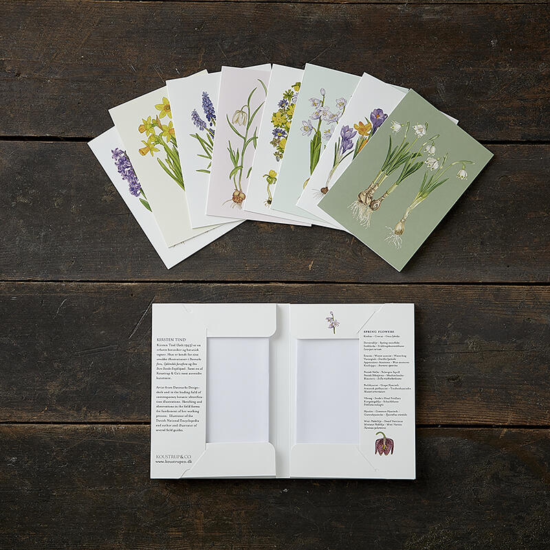 SPRING FLOWERS - 8 CARDS