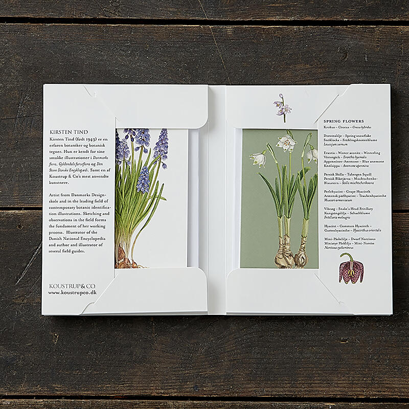 SPRING FLOWERS - 8 CARDS