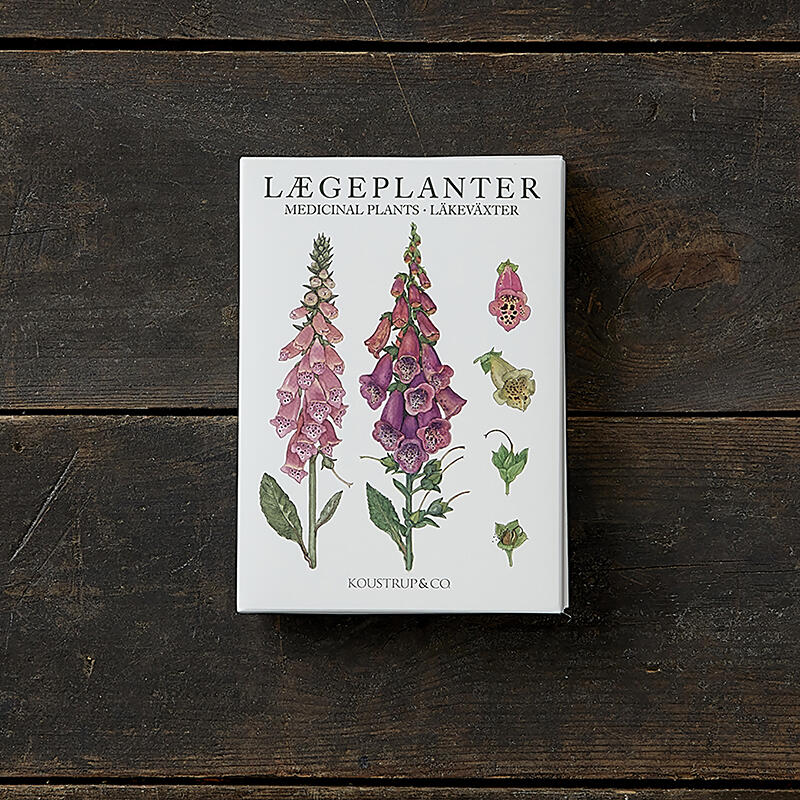 MEDICINAL PLANTS - 8 cards