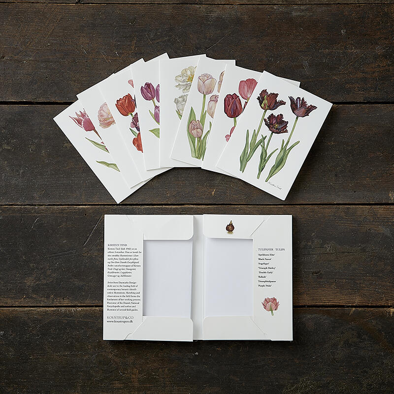 TULIPS - 8 cards