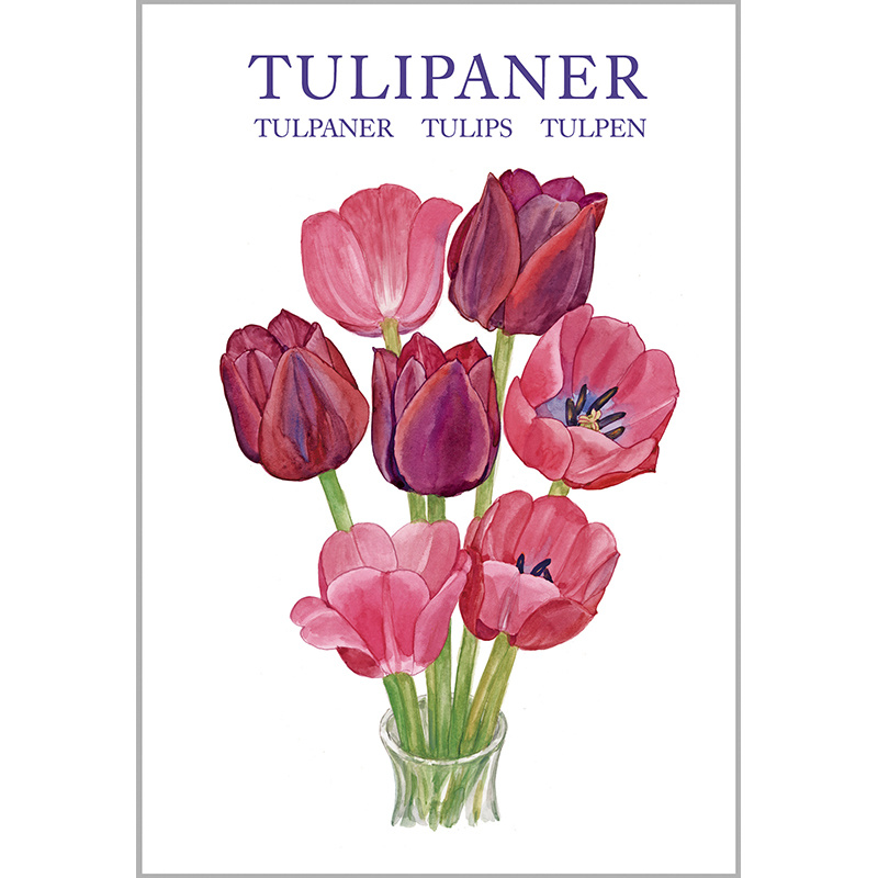 TULIPS - 8 cards