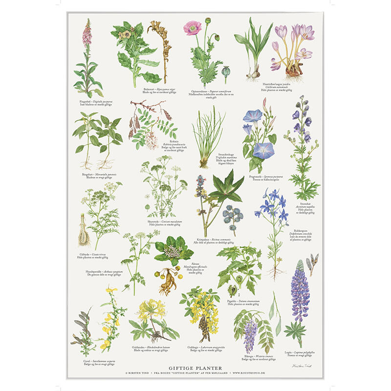 POISONOUS PLANTS - A2 Poster