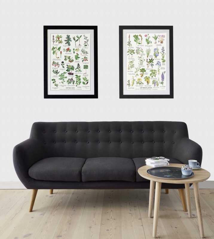 POISONOUS PLANTS - A2 Poster