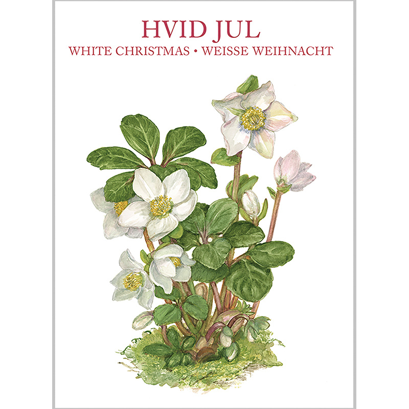 WHITE CHRISTMAS - 8 cards