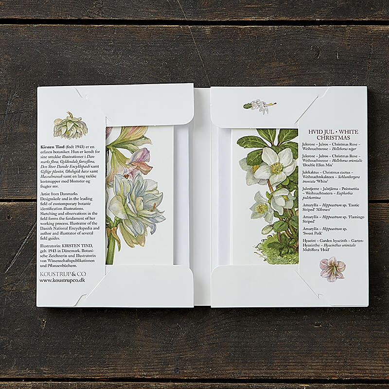 WHITE CHRISTMAS - 8 cards