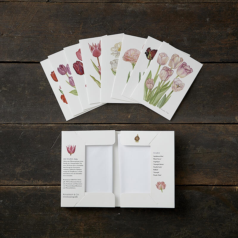 TULIPS - 8 cards (German)