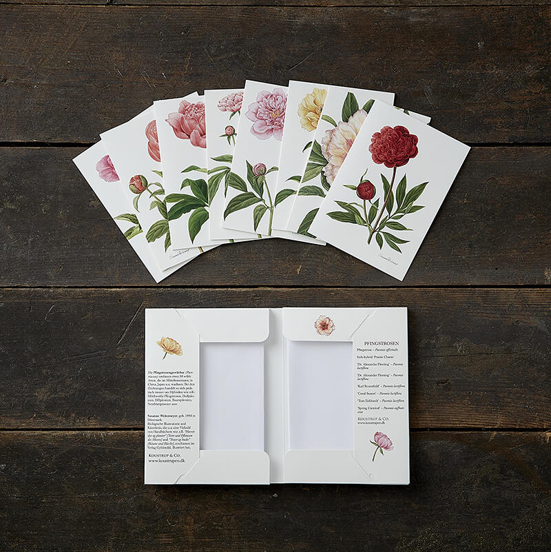PEONIES - 8 cards (German)