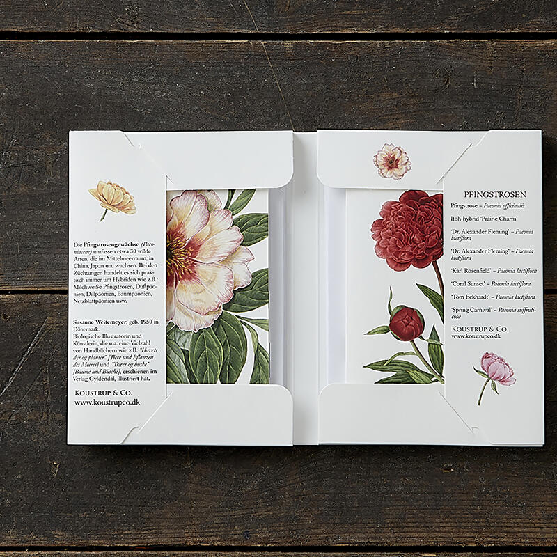 PEONIES - 8 cards (German)