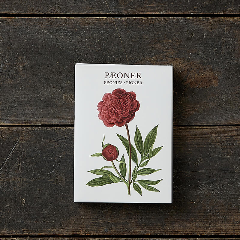 Peonies – 8 cards