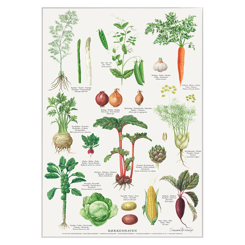 KITCHEN GARDEN - Poster A2