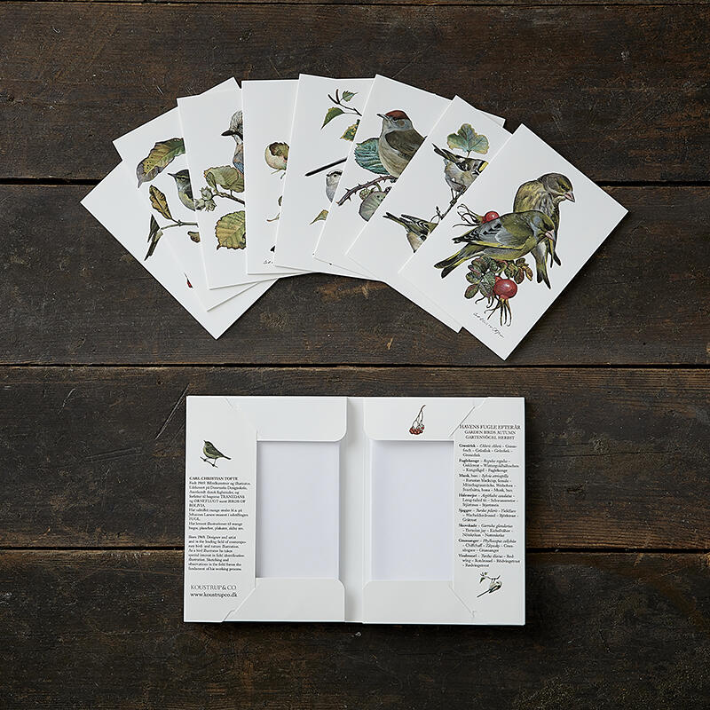 GARDEN BIRDS AUTUMN - 8 cards
