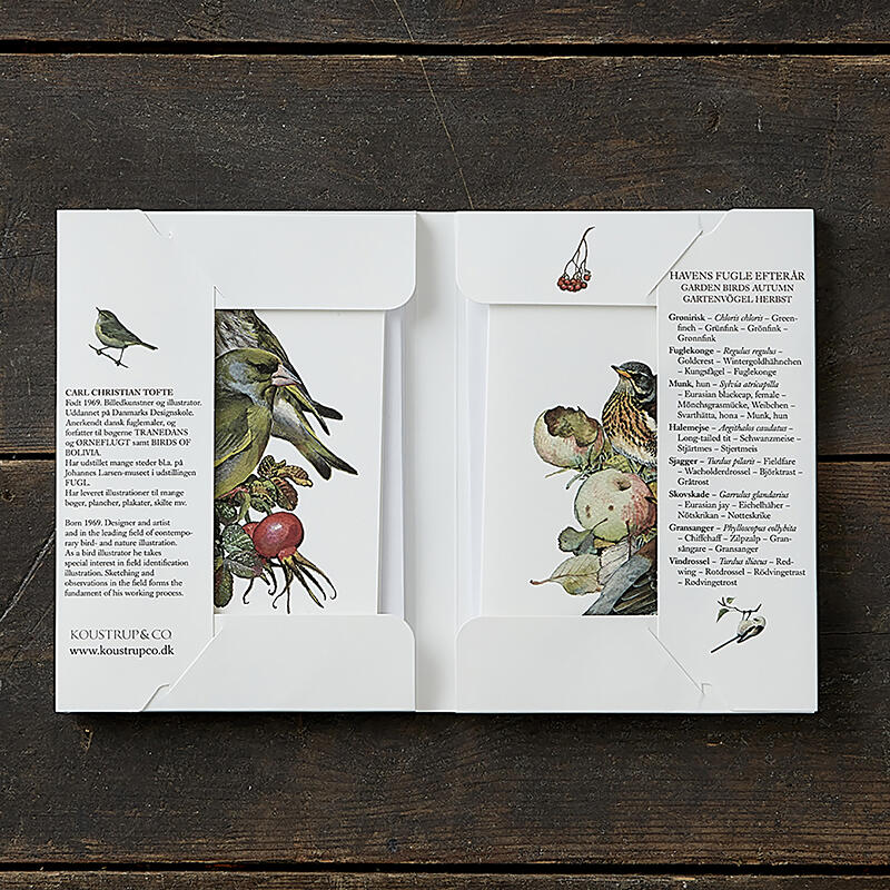 GARDEN BIRDS AUTUMN - 8 cards