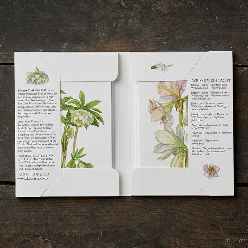 BOUQUETS - 8 cards (German)