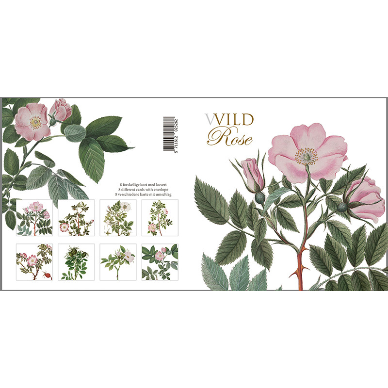 WILD ROSE - Square card set