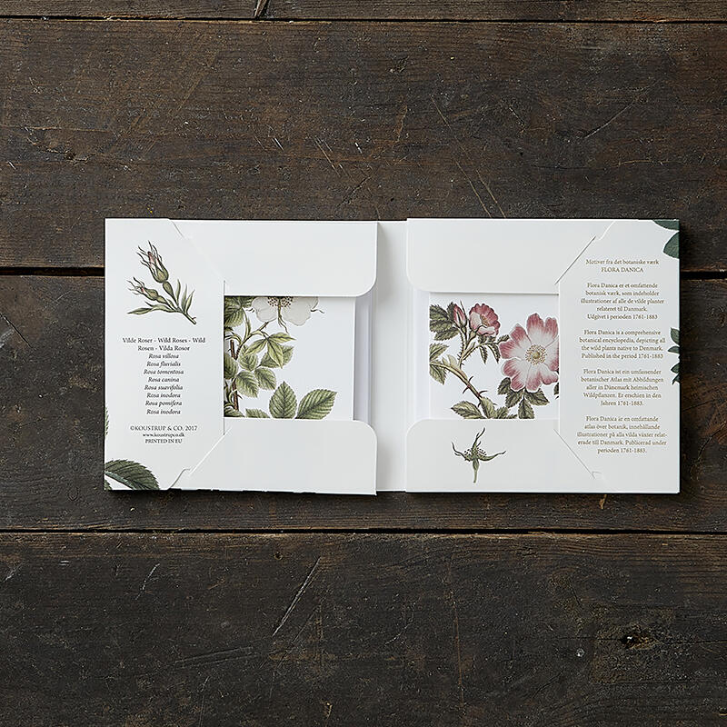 WILD ROSE - Square card set